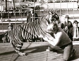 Bob and the tiger